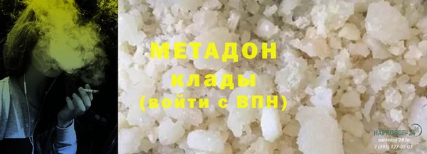 прущие грибы Абаза