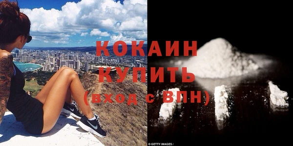 прущие грибы Абаза