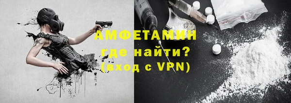 прущие грибы Абаза